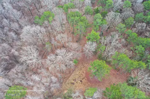 Enid Dam Rd. Road, Pope, MS 38658 photo 39