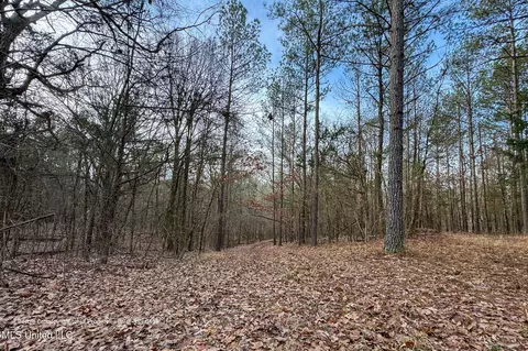 Enid Dam Rd. Road, Pope, MS 38658 photo 25