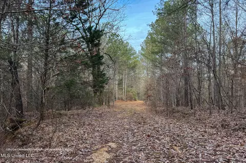 Enid Dam Rd. Road, Pope, MS 38658 photo 32