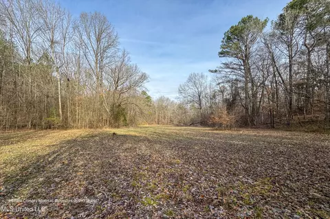 Enid Dam Rd. Road, Pope, MS 38658 photo 29