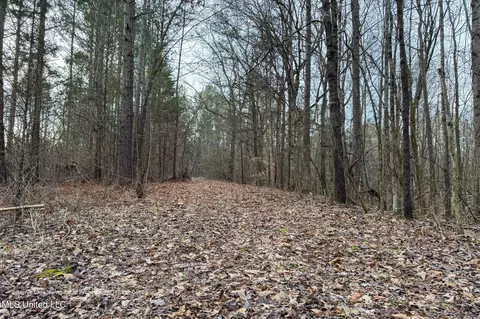 Enid Dam Rd. Road, Pope, MS 38658 photo 15