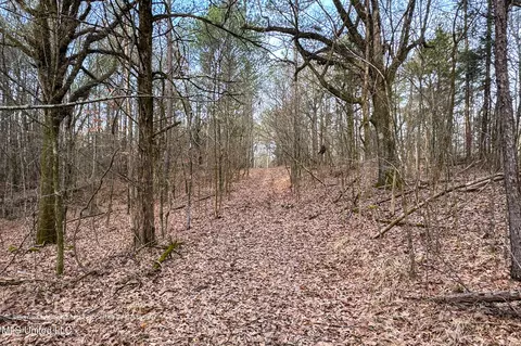 Enid Dam Rd. Road, Pope, MS 38658 photo 18