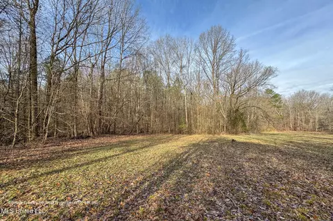 Enid Dam Rd. Road, Pope, MS 38658 photo 30