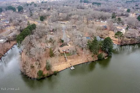 2425 Placid Cv, Nesbit, MS 38651 photo 32