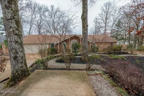 2425 Placid Cv, Nesbit, MS 38651 photo 42
