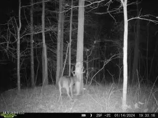 00- Kimbrough Rd, Lexington, MS 39095 photo 6