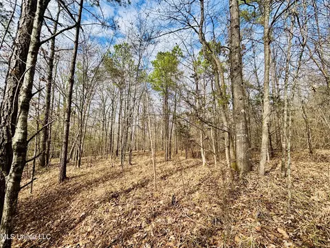 00- Kimbrough Rd, Lexington, MS 39095 photo 28