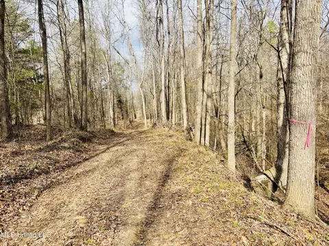 00- Kimbrough Rd, Lexington, MS 39095 photo 31