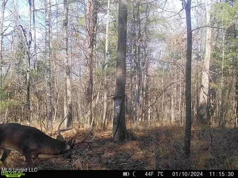 00- Kimbrough Rd, Lexington, MS 39095 photo 8