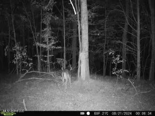 00- Kimbrough Rd, Lexington, MS 39095 photo 32