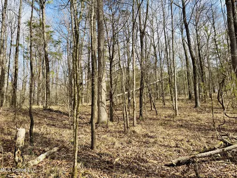 00- Kimbrough Rd, Lexington, MS 39095 photo 30