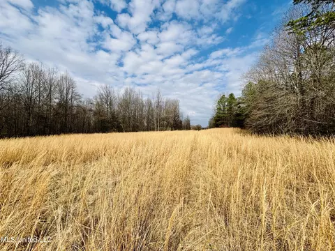 00- Kimbrough Rd, Lexington, MS 39095 photo 3