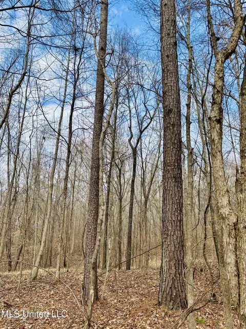 00- Kimbrough Rd, Lexington, MS 39095 photo 11