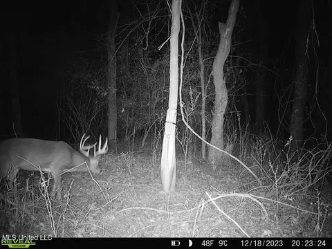 00- Kimbrough Rd, Lexington, MS 39095 photo 34