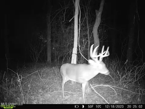 00- Kimbrough Rd, Lexington, MS 39095 photo 10