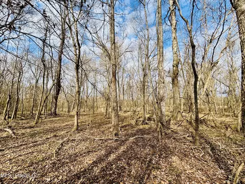 00- Kimbrough Rd, Lexington, MS 39095 photo 17