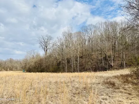 00- Kimbrough Rd, Lexington, MS 39095 photo 4