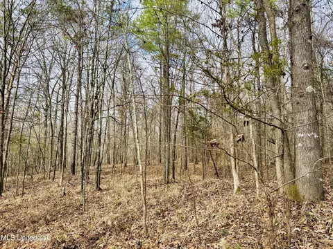 00- Kimbrough Rd, Lexington, MS 39095 photo 12