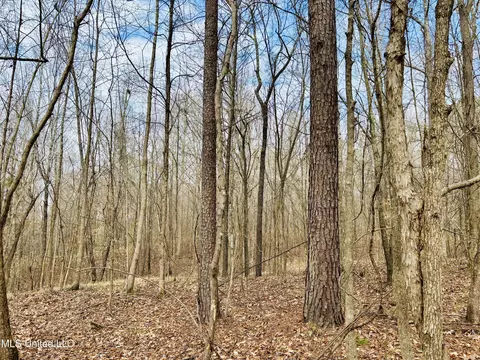 00- Kimbrough Rd, Lexington, MS 39095 photo 27