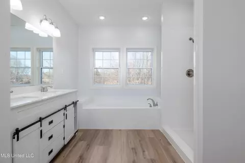 Bath - 3160 Grand Oaks Dr, Hernando, MS 38632 photo 2 of 3