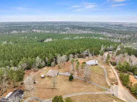 40 Tall Pine Dr, Wiggins, MS 39577 photo 2