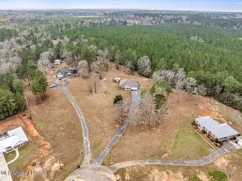 40 Tall Pine Dr, Wiggins, MS 39577 photo 3