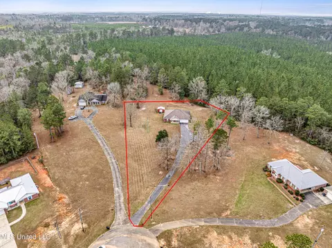 40 Tall Pine Dr, Wiggins, MS 39577 photo 9