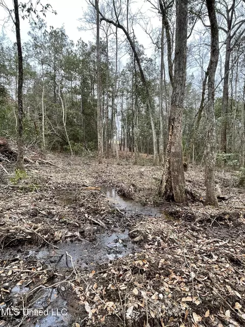 21 61 Ac Hwy 26, Lucedale, MS 39452 photo 11