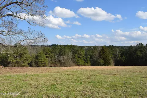 21 61 Ac Hwy 26, Lucedale, MS 39452 photo 3