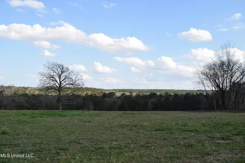 21 61 Ac Hwy 26, Lucedale, MS 39452 photo 5