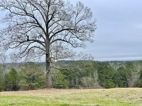 21 61 Ac Hwy 26, Lucedale, MS 39452 photo 27