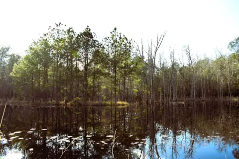 21 61 Ac Hwy 26, Lucedale, MS 39452 photo 17