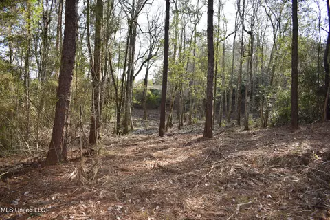 21 61 Ac Hwy 26, Lucedale, MS 39452 photo 10