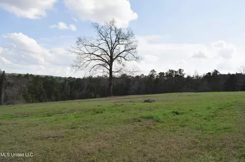 21 61 Ac Hwy 26, Lucedale, MS 39452 photo 2