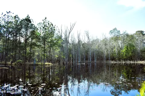 21 61 Ac Hwy 26, Lucedale, MS 39452 photo 16
