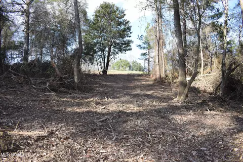21 61 Ac Hwy 26, Lucedale, MS 39452 photo 12