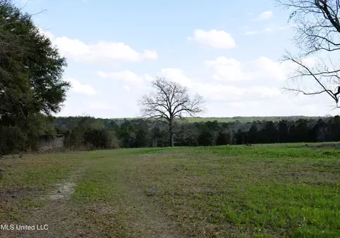 21 61 Ac Hwy 26, Lucedale, MS 39452 photo 19
