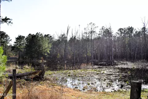 21 61 Ac Hwy 26, Lucedale, MS 39452 photo 15