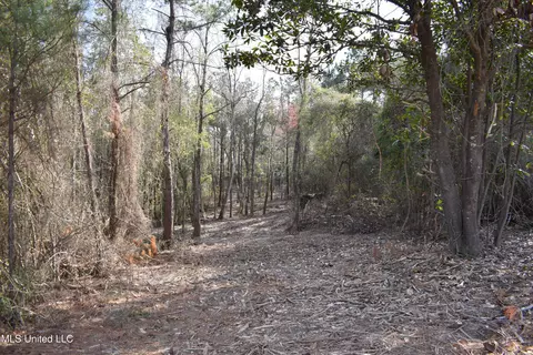 21 61 Ac Hwy 26, Lucedale, MS 39452 photo 8