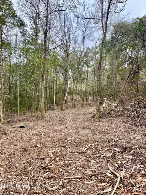 21 61 Ac Hwy 26, Lucedale, MS 39452 photo 9