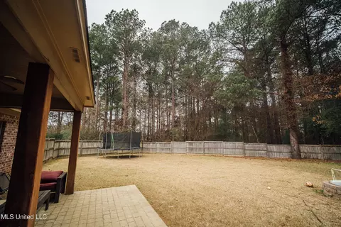 105 Tracey Cv, Madison, MS 39110 photo 27