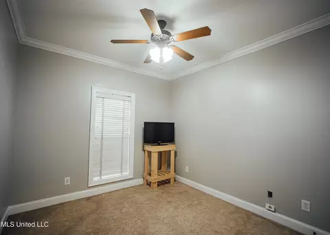 105 Tracey Cv, Madison, MS 39110 photo 16