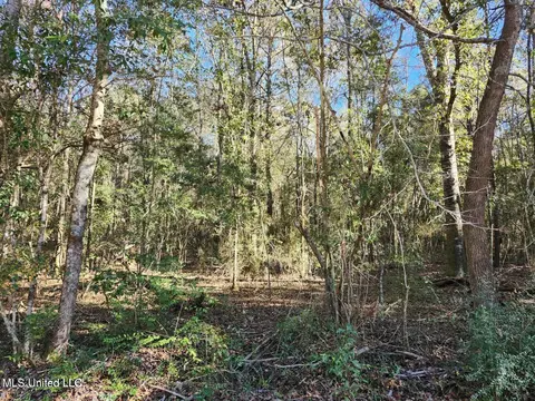 Nhn Hoda Road, Kiln, MS 39556