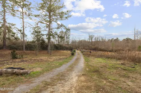 1002 Hillsboro Vfw Rd, Forest, MS 39074 photo 5
