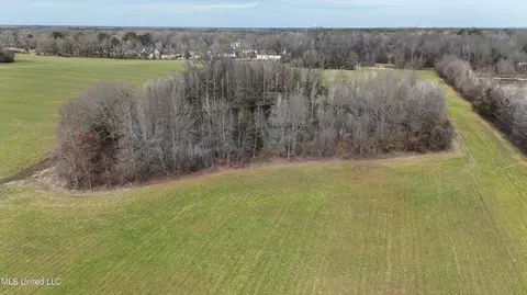 Stout Road Road, Madison, MS 39110 photo 5