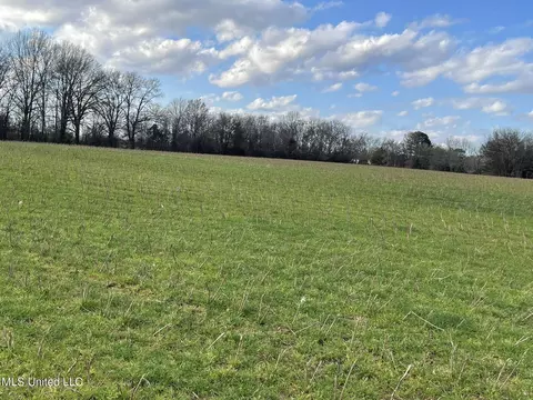 Stout Road Road, Madison, MS 39110 photo 12
