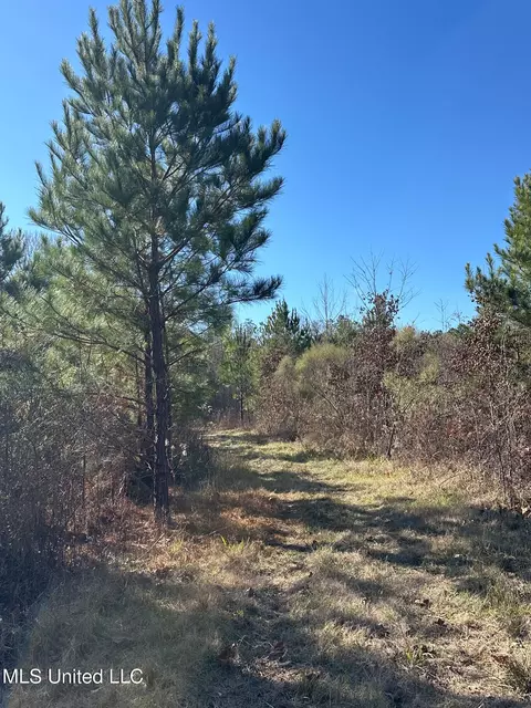 Co Rd 4120, Sallis, MS 39160 photo 17