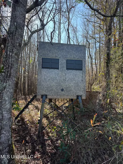 Co Rd 4120, Sallis, MS 39160 photo 9