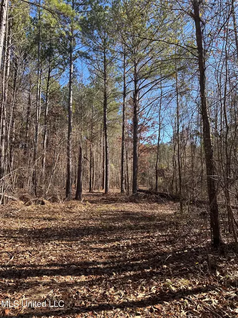 Co Rd 4120, Sallis, MS 39160 photo 2