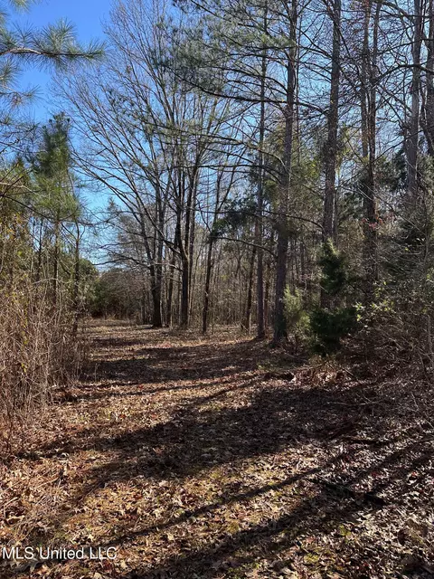 Co Rd 4120, Sallis, MS 39160 photo 21